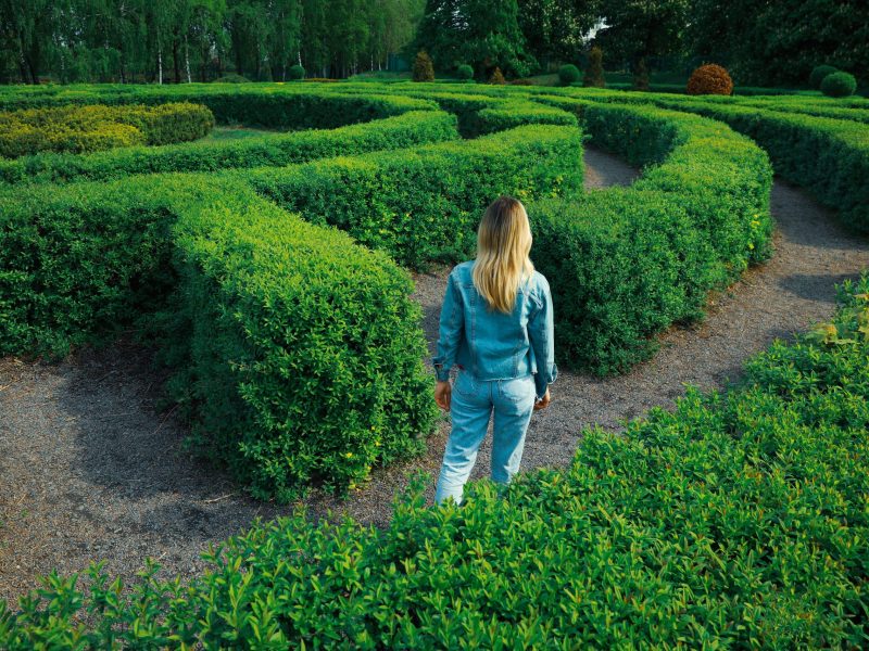 Why Trying Harder May Not Be The Answer - Neurodivergent Executive Function